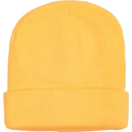 FWRD Aspen Beanie Lemon